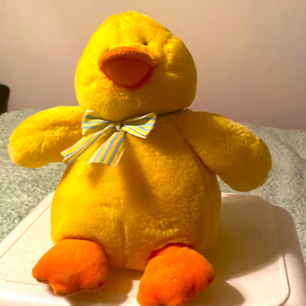 Ducksley toy